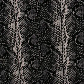 Printed knit - WILD LIFE - Snake - Grey